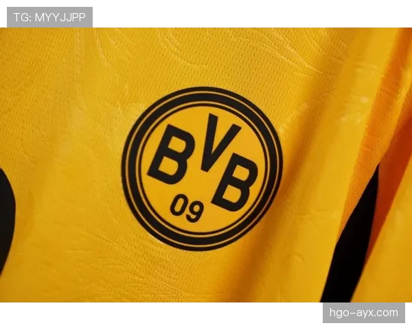 多特蒙德反击效率飙升，赛季表现引人瞩目